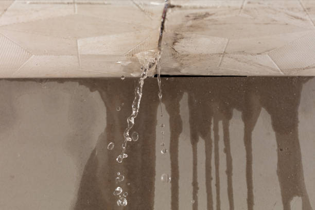 Professional Structural Drying technician working in Higgins Lake, MI